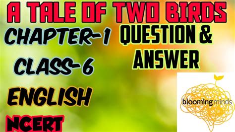 A Tale Of Two Birds Chapter 1 Part 2 Question And Answers Class