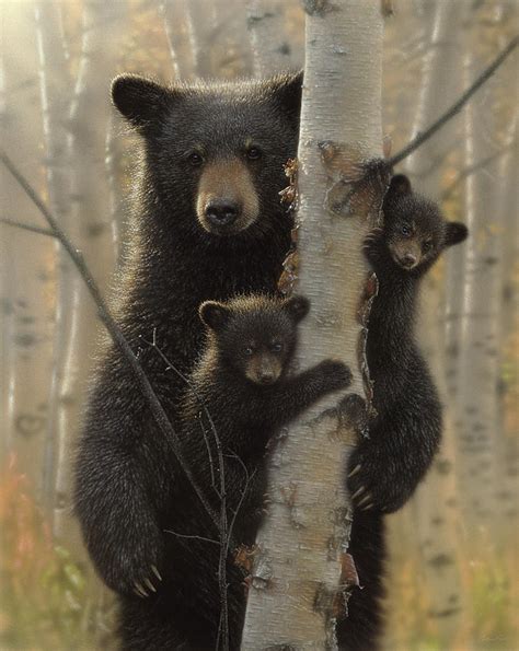 Black Bear Mother And Cubs Mama Bear Mixed Media By