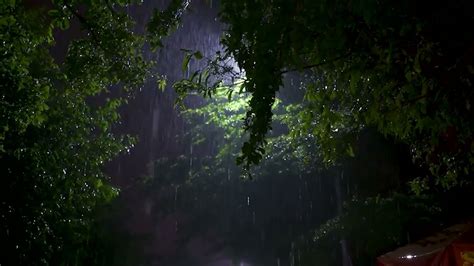 Heavy Rainstorm And Powerful Thunder Sounds In Rainforest At Night Rain