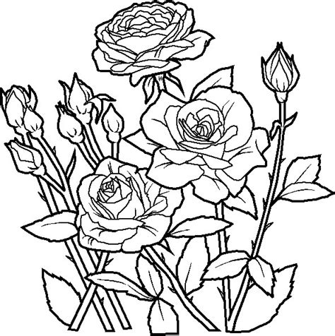 Planse de colorat cu flori trandafiri | desene de colorat. imagini de colorat cu flori desene de colorat ~ Desene ...