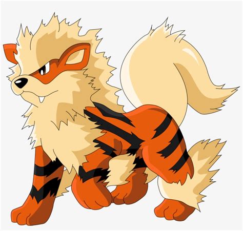 Arcanine Png 20 Free Cliparts Download Images On Clipground 2023