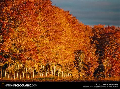 Download National Geographic Autumn Wallpaper Gallery