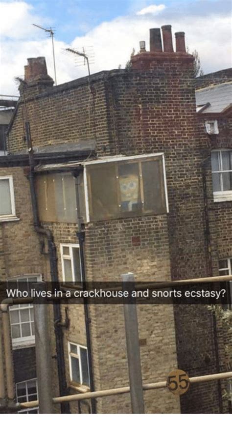 What to do if someone says they lived in your house? Who Lives in a Crackhouse and Snorts Ecstasy? | Live Meme ...