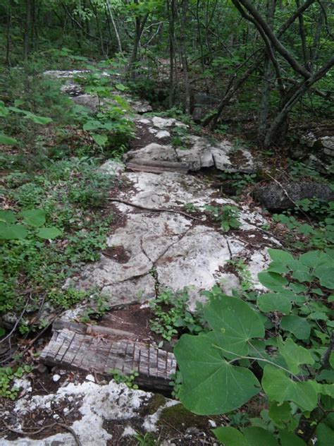 Maybe you would like to learn more about one of these? Cave-run Lake photo || SINGLETRACKS.COM