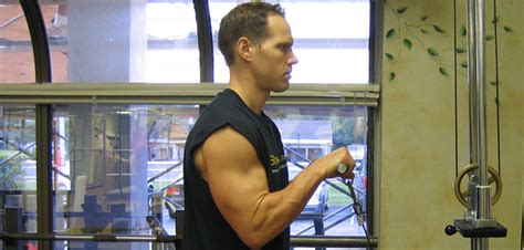 Reverse Cable Curls Forearm Exercise Guide