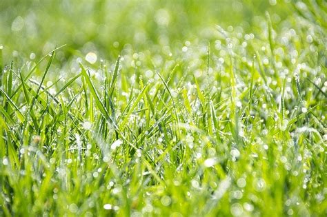 Regarding price, many of these lawn mowers cost around five hundred dollars or a bit more. What is the Cost of Sprinkler System for 1 Acre? | Lawn Chick