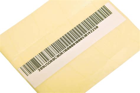 9 Steps for How to Process Payroll – NewsMag Online