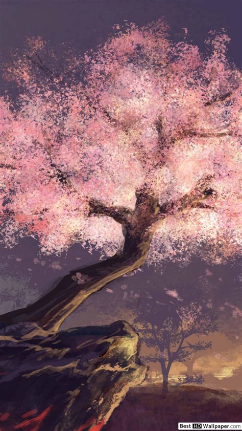 Cherry Blossom Tree Wallpaper Anime A Collection Of The Top 34 Cherry