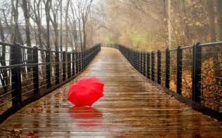 Image result for free image of rainy day