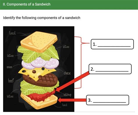 Ii Components Of A Sandwich Brainlyph