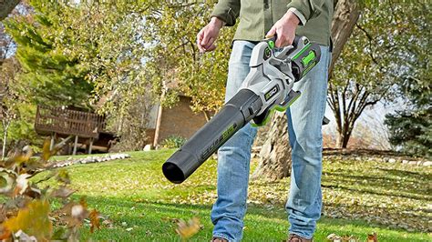 We did not find results for: 5 Best Electric Leaf Blowers in 2020 - Cordless Leaf Blower - YouTube