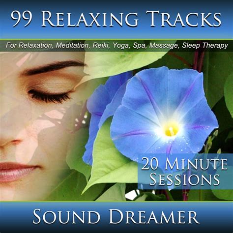 99 Relaxing Tracks 20 Minute Sessions For Relaxation Meditation