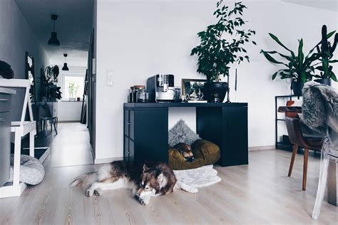 Wie heißen die einzelnen zimmer auf deutsch? DIY: Hundehütte für die Wohnung selber bauen (inklusive ...