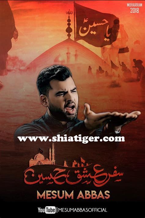 Mesum Abbas Nohay 2018 2019 Shia Tiger Multimedia