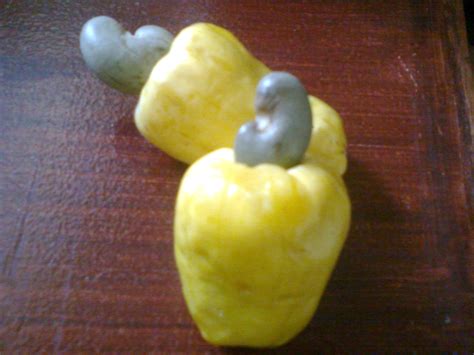 Buckeye nuts are mildly poisonous. Arghentrock's A Taste of the Philippines: Antipolo Church ...