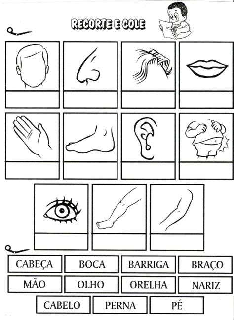 Atividades Sobre Partes Do Corpo Educação Infantil