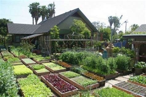 20 Inspiring Homestead Farm Garden Layout And Design Ideas Backyard