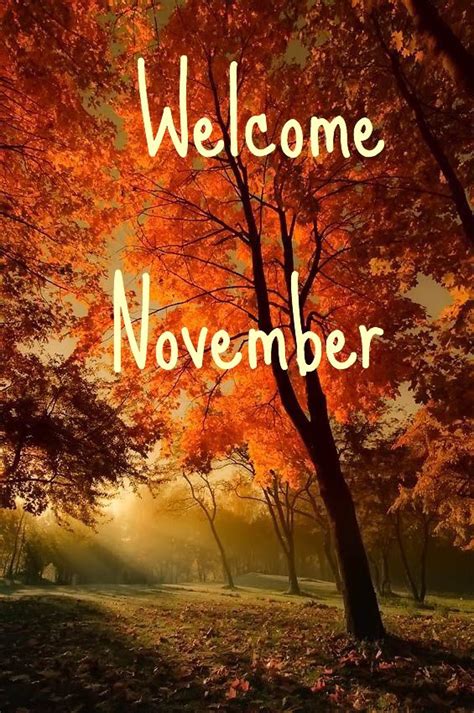 Welcome November Hallo November Welcome November November Month New