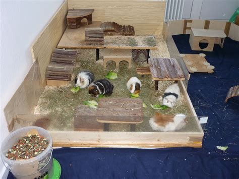 Nutze die erweiterte suche von homegate.ch, überprüfe den standort auf der karte und finde die perfekte wohnung in der schweiz! Pin auf guenia pig
