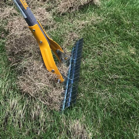 Pick a starting spot in the lawn and working in a regular pattern, pull the rake through the grass, digging into the thatch. How To Dethatch Your Lawn