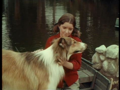 Les Aventures De Lassie Lassie La Série Tv