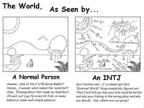 Yes This Is Totally The Difference Between Me An Infp And My Intj