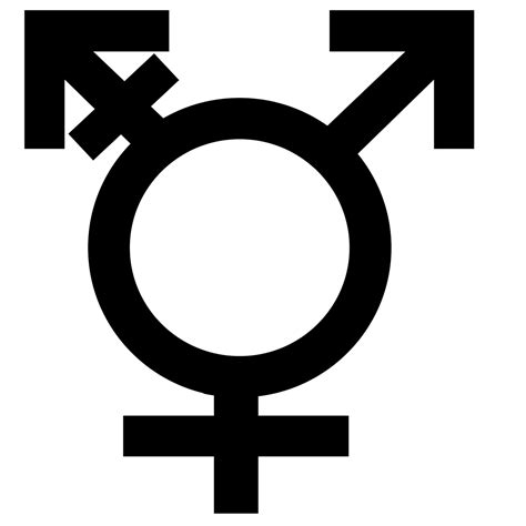 On Philosophical Scholarship Of Gender A Response To 12 Leading Scholars Blog Of The Apa