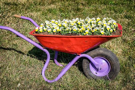 Wooden Wheelbarrow For Flowers