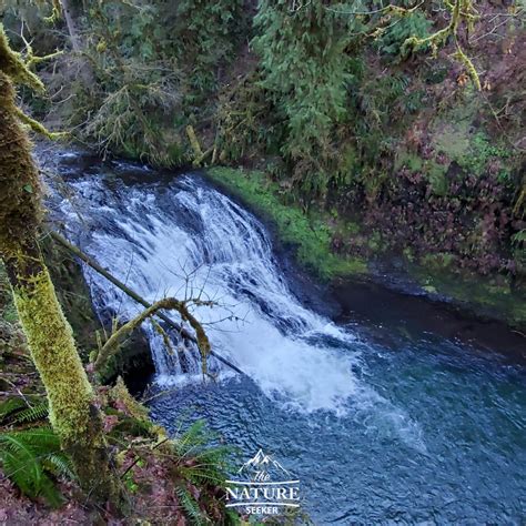 A Simple Trail of Ten Falls Guide For First Time Visitors