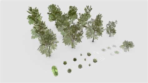 trees a 3d model collection by alexrushing77 sketchfab