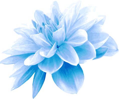 Blue Flower By Firkin Derived From An Image On Publicdomainpictures