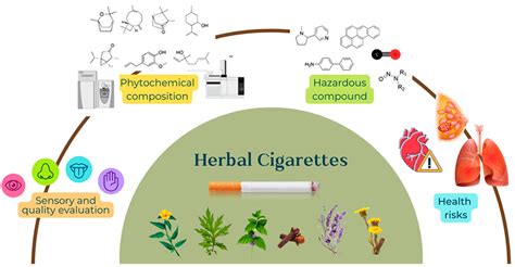 How Do Herbal Cigarettes Compare To Tobacco A Comprehensive Review Of