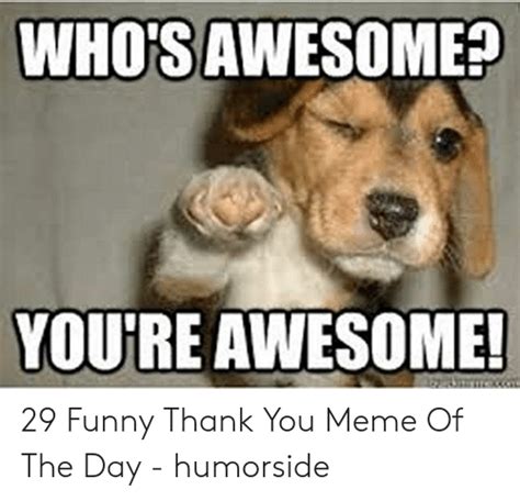 Whos Awesome Youre Awesome 29 Funny Thank You Meme Of The Day