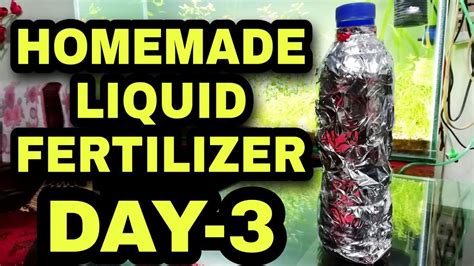 Spring is the perfect time to fertilize your lawn. Homemade Liquid Fertilizer || DAY-3 - YouTube