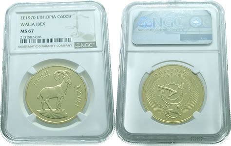 Ethiopia 600 Birr Ee19701978 Walia Ibex Gold Ngc Ms 67 Ma Shops