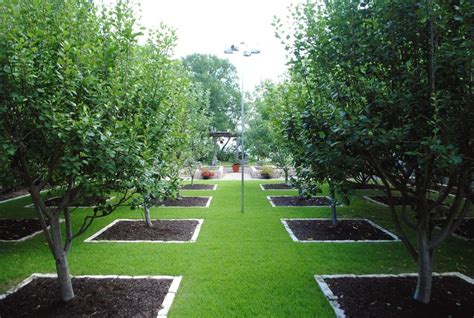 Orchard And Vegetable Garden Gardenista Fruit Trees Garden Design