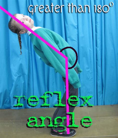 Reflex Angle Reflex Measure Of An Angle Math Lessons Teaching Math