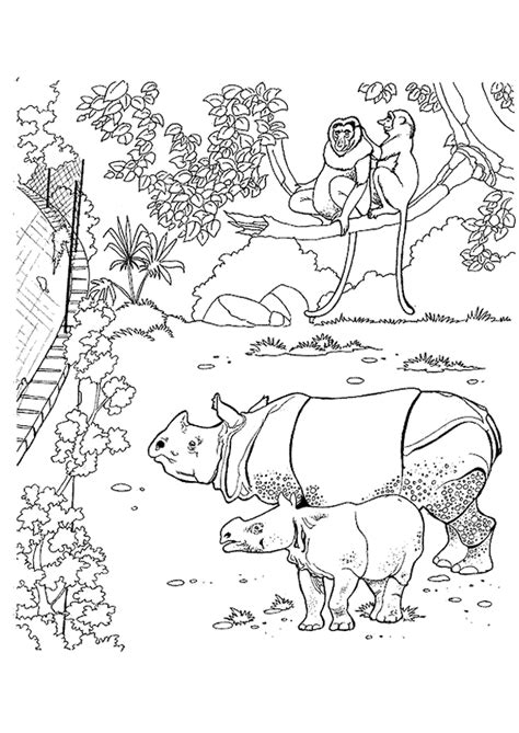 coloriage zoo beauval