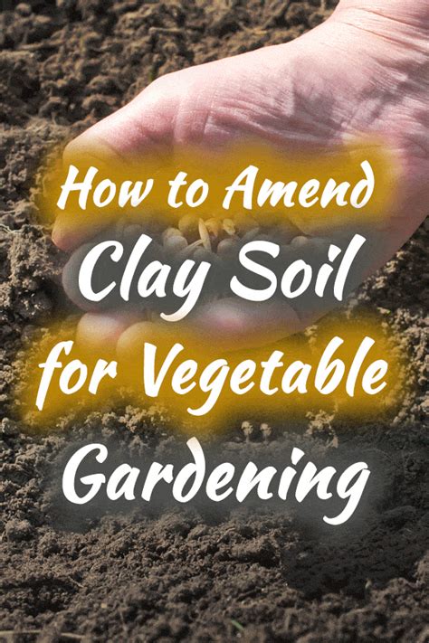 How To Amend Clay Soil For Vegetable Gardening