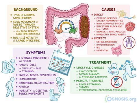 Lazy Bowel Syndrome What Is It Causes Treatment And More Osmosis
