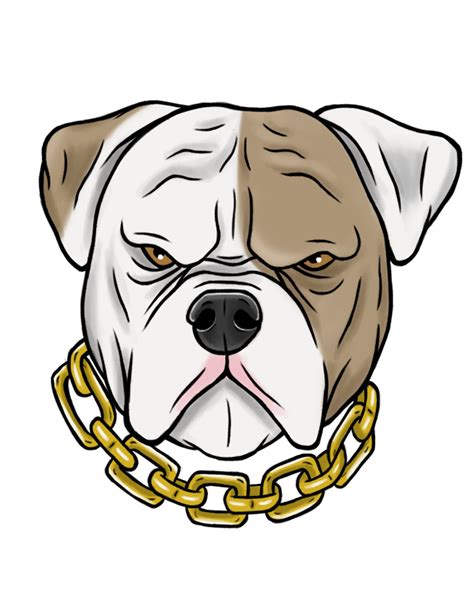 Mad American Bulldog Illustration Bulldog Drawing Cartoon Clip Art