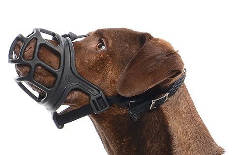 Buster Extreme Dog Muzzle Size 4