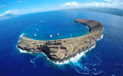 Should You Snorkel Or Scuba Dive In Molokini Crater Hawaii