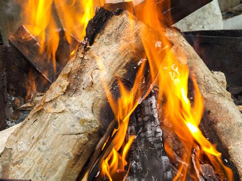 Firewood Stock Image Image Of Spot Temperature Glow 49030067