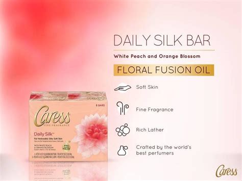 Caress Daily Silk Beauty Bar 4 Ounce Bath Soaps Beauty