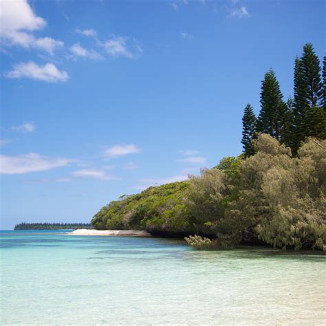 Isle Of Delight Isle Of Pines New Caledonia South Pacific