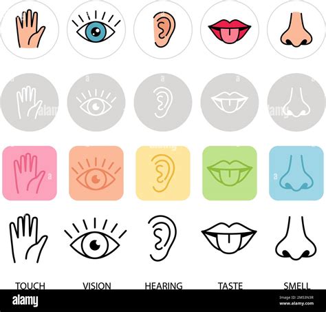 Human Feelings Five Senses Vector Illustration Lips Hand Nose Eye