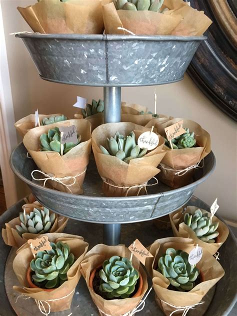 Cute Succulent And Cactus Party Ideas For A Baby Shower Or Any Party