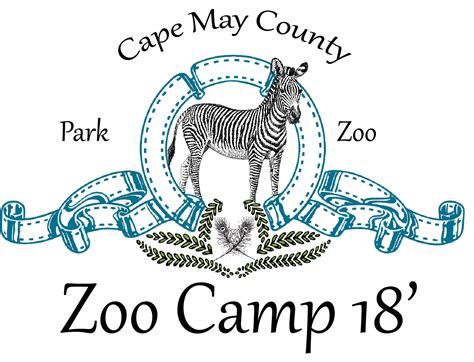 Summer Camps In And Around Cape May County 2018 Moms Of Cape May