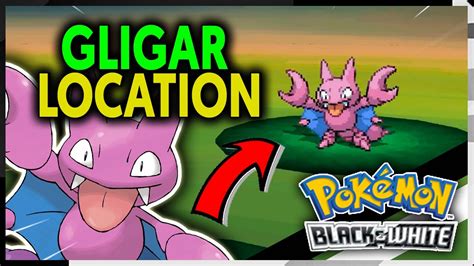 Where To Find Gligar On Pokemon Black And White Youtube